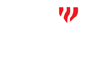 Glas Mesh Co.